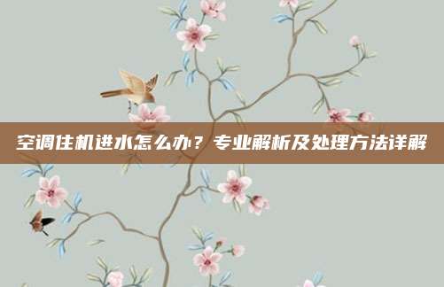 空调住机进水怎么办?专业解析及处理方法详解