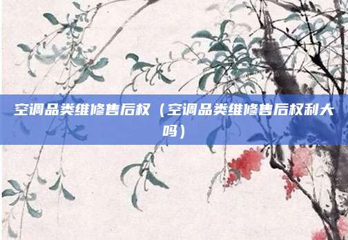 空调品类维修售后权（空调品类维修售后权利大吗）