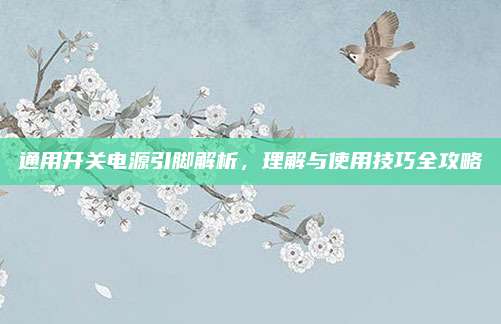 通用开关电源引脚解析,理解与使用技巧全攻略