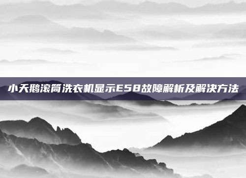 小天鹅滚筒洗衣机显示E58故障解析及解决方法