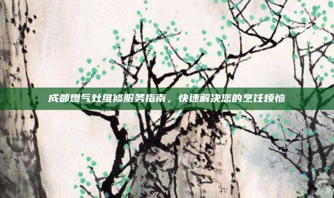 成都燃气灶维修服务指南,快速解决您的烹饪烦恼