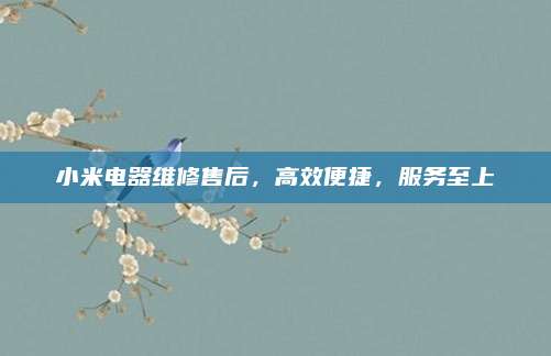 小米电器维修售后,高效便捷,服务至上