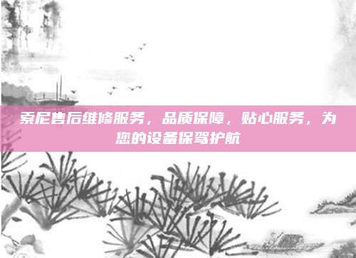 索尼售后维修服务,品质保障,贴心服务,为您的设备保驾护航