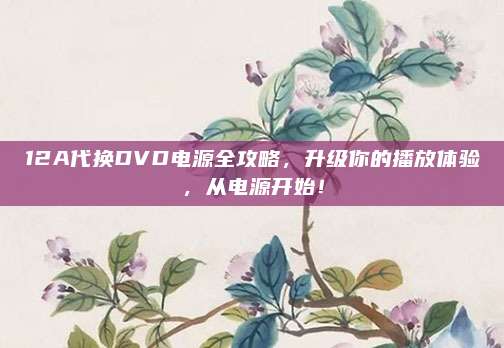 12A代换DVD电源全攻略,升级你的播放体验,从电源开始!