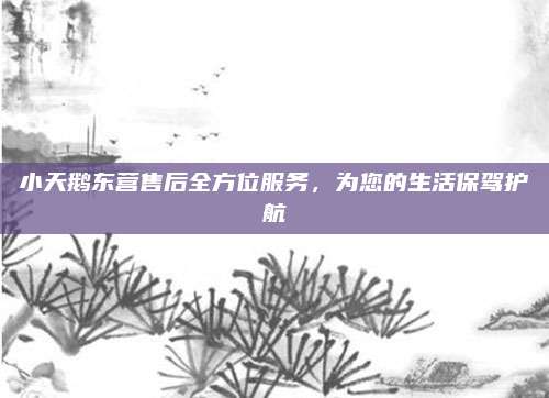 小天鹅东营售后全方位服务,为您的生活保驾护航