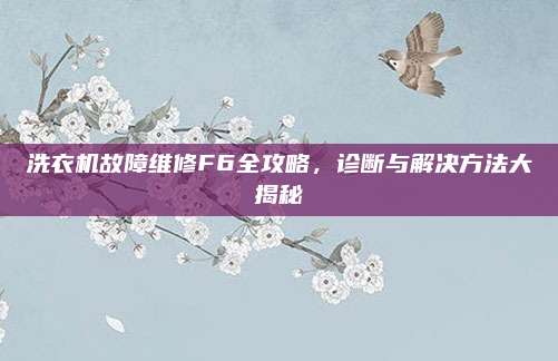 洗衣机故障维修F6全攻略,诊断与解决方法大揭秘