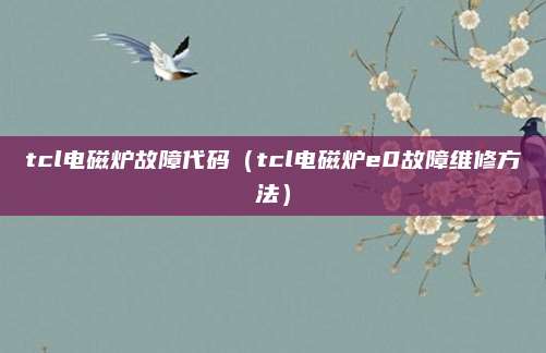 tcl电磁炉故障代码(tcl电磁炉e0故障维修方法)