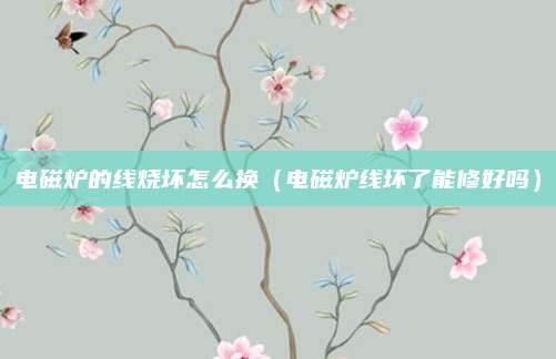 电磁炉的线烧坏怎么换（电磁炉线坏了能修好吗）