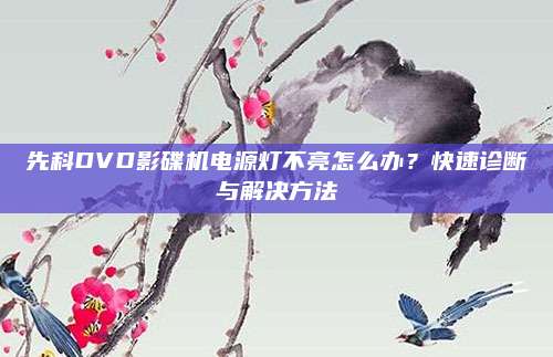 先科DVD影碟机电源灯不亮怎么办?快速诊断与解决方法