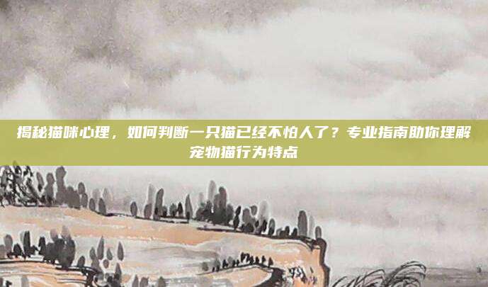 揭秘猫咪心理,如何判断一只猫已经不怕人了?专业指南助你理解宠物猫行为特点