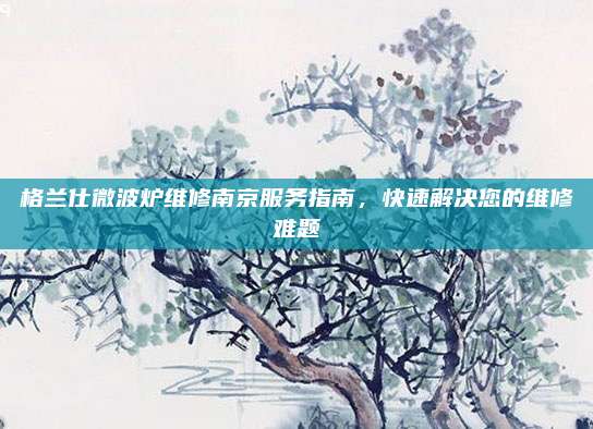 格兰仕微波炉维修南京服务指南,快速解决您的维修难题