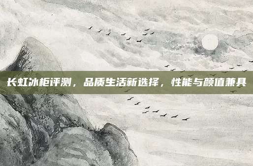 长虹冰柜评测,品质生活新选择,性能与颜值兼具