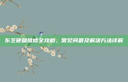 东芝硬盘维修全攻略,常见问题及解决方法详解