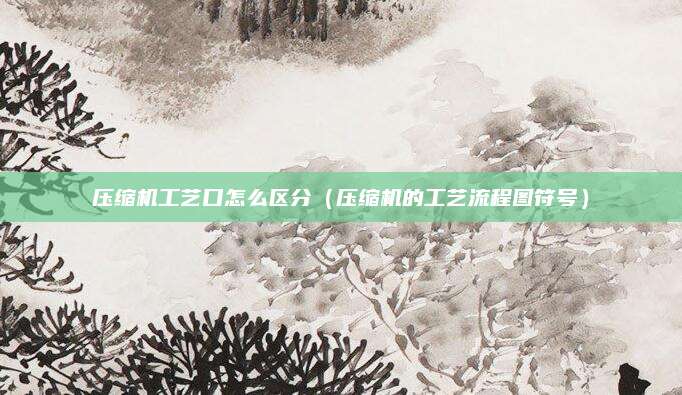 压缩机工艺口怎么区分（压缩机的工艺流程图符号）
