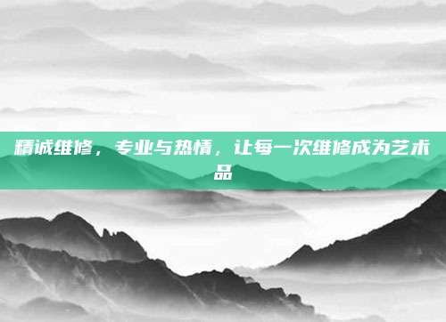 精诚维修,专业与热情,让每一次维修成为艺术品