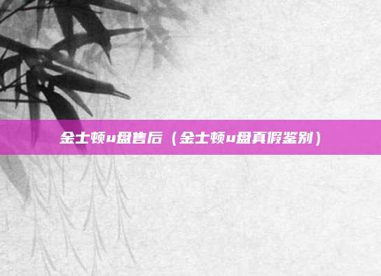 金士顿u盘售后（金士顿u盘真假鉴别）