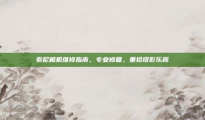 索尼相机维修指南,专业修复,重拾摄影乐趣