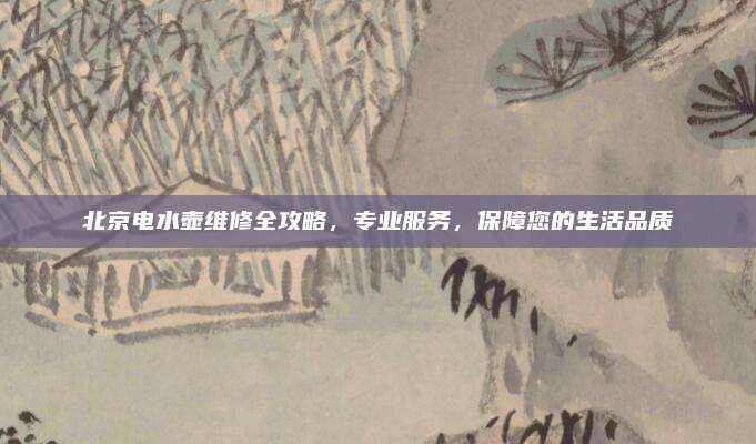 北京电水壶维修全攻略,专业服务,保障您的生活品质