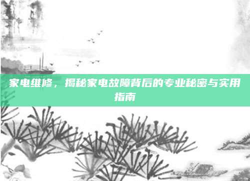 家电维修,揭秘家电故障背后的专业秘密与实用指南