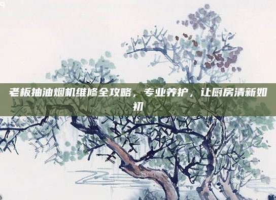 老板抽油烟机维修全攻略,专业养护,让厨房清新如初