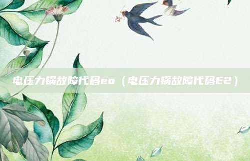 电压力锅故障代码eo(电压力锅故障代码E2)