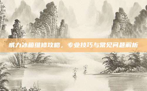 威力冰箱维修攻略,专业技巧与常见问题解析