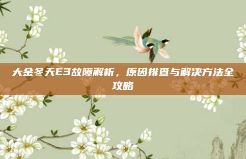 大金冬天E3故障解析,原因排查与解决方法全攻略