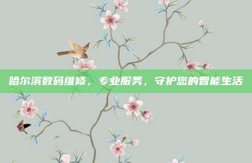 哈尔滨数码维修,专业服务,守护您的智能生活