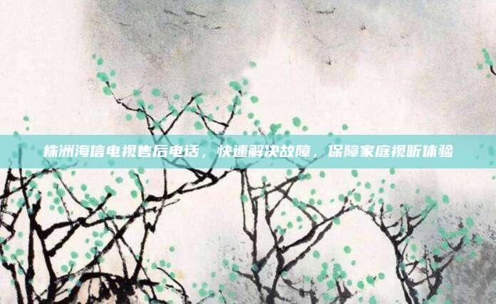 株洲海信电视售后电话,快速解决故障,保障家庭视听体验