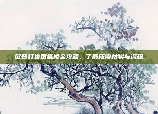 欧普灯售后维修全攻略,了解所需材料与流程