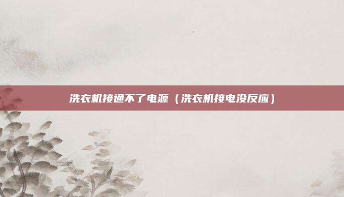 洗衣机接通不了电源（洗衣机接电没反应）