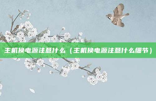 主机换电源注意什么(主机换电源注意什么细节)