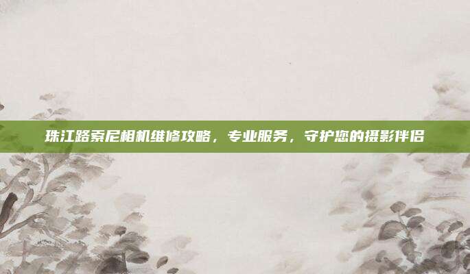 珠江路索尼相机维修攻略，专业服务，守护您的摄影伴侣