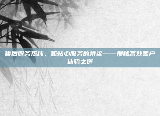 售后服务热线,您贴心服务的桥梁——揭秘高效客户体验之道