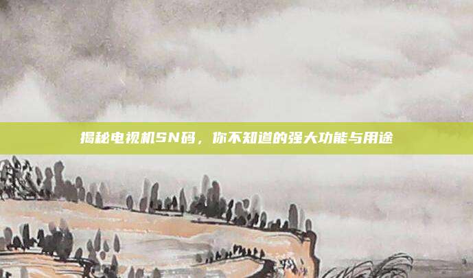 揭秘电视机SN码,你不知道的强大功能与用途