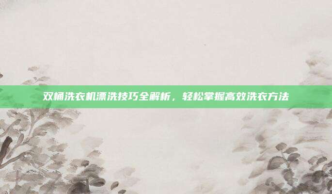 双桶洗衣机漂洗技巧全解析,轻松掌握高效洗衣方法