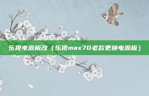乐视电源板改(乐视max70老款更换电源板)