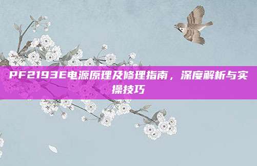 PF2193E电源原理及修理指南,深度解析与实操技巧