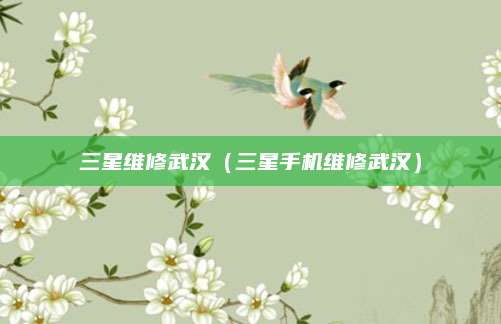 三星维修武汉(三星手机维修武汉)