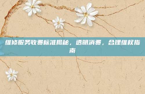 维修服务收费标准揭秘,透明消费,合理维权指南