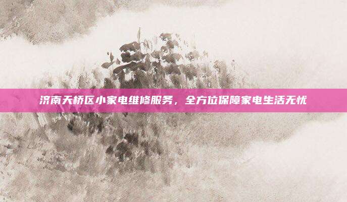 济南天桥区小家电维修服务,全方位保障家电生活无忧