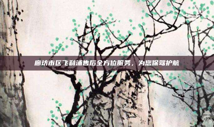 廊坊市区飞利浦售后全方位服务,为您保驾护航
