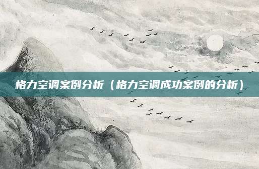 格力空调案例分析（格力空调成功案例的分析）