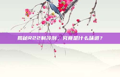 揭秘R22制冷剂,究竟是什么味道?