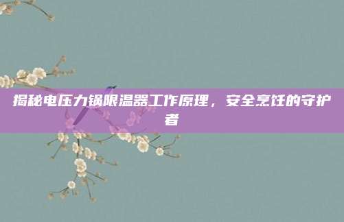揭秘电压力锅限温器工作原理,安全烹饪的守护者