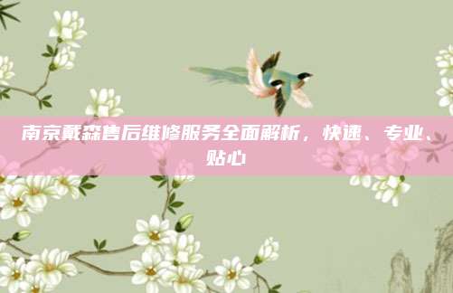 南京戴森售后维修服务全面解析,快速、专业、贴心