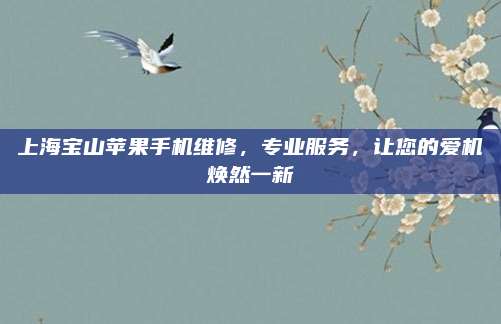 上海宝山苹果手机维修,专业服务,让您的爱机焕然一新