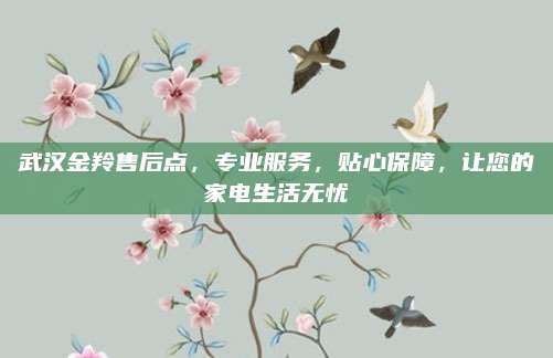 武汉金羚售后点,专业服务,贴心保障,让您的家电生活无忧