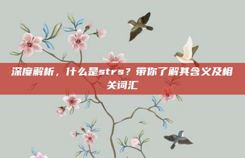 深度解析,什么是strs?带你了解其含义及相关词汇