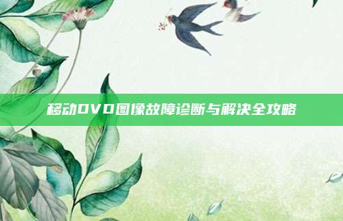 移动DVD图像故障诊断与解决全攻略